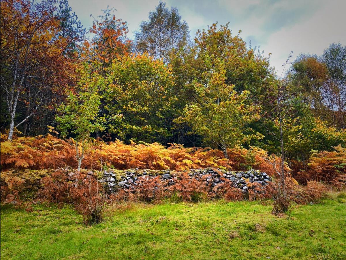Tarmachan Cottage - West Highland Getaway Φορτ Γουίλιαμ Εξωτερικό φωτογραφία