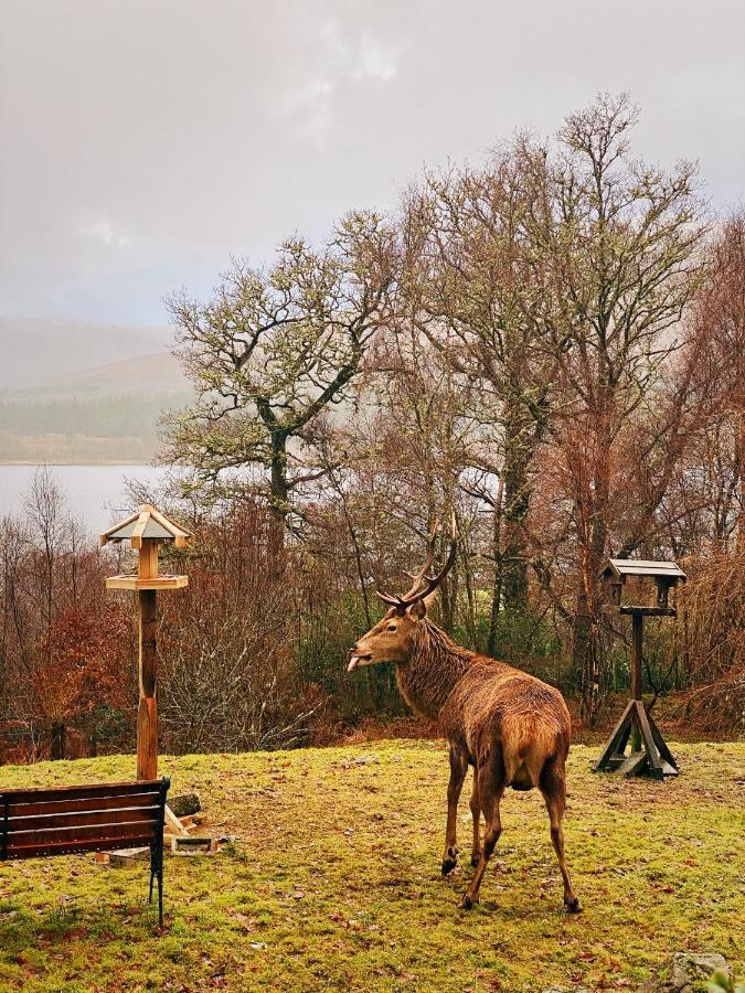 Tarmachan Cottage - West Highland Getaway Φορτ Γουίλιαμ Εξωτερικό φωτογραφία